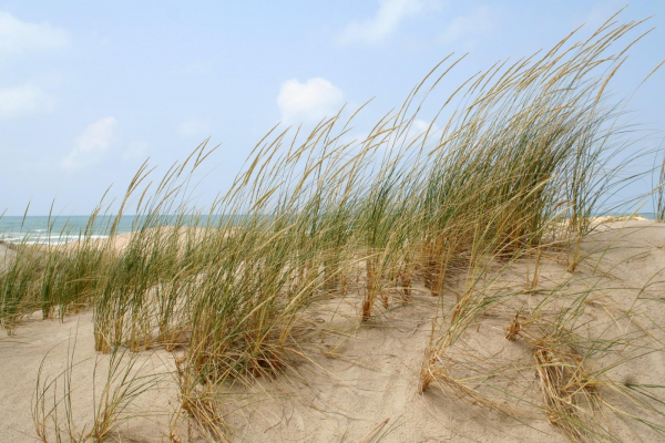 cuisine sur mesure blanc et bois Cabourg